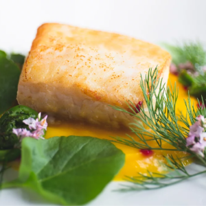 Halibut